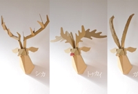 Design Office Mago Craft Trophies on the Wall